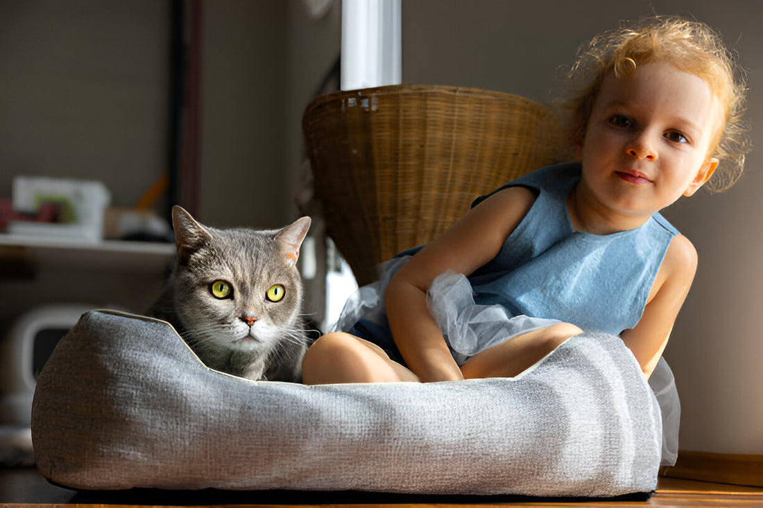 The Role of Proper Bedding in Your Pet's Health and Well-being