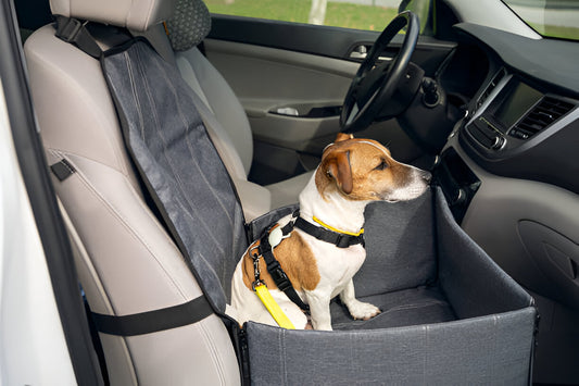 Safety First: Choosing the Right Dog Car Seat for Your Vehicle