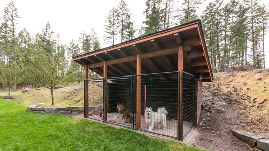 Indoor vs. Outdoor Dog Kennels: Pros and Cons