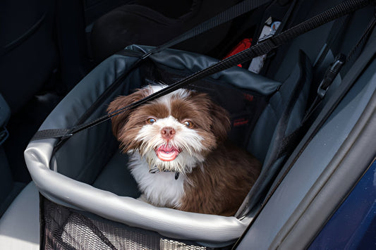 The Best Pet Car Seats for Long Road Trips