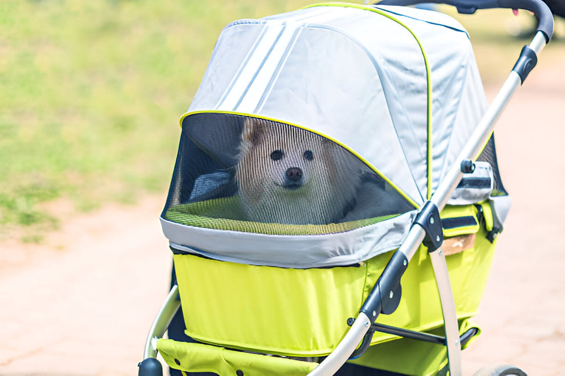 Top 5 Dog Strollers for Urban Adventures