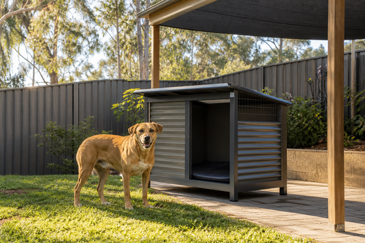 Dog beside an outdoor kennel positioned for morning sun and afternoon shade in an Australian backyard