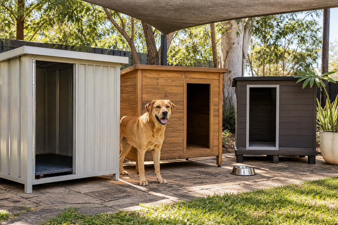 Dog beside metal, timber and composite kennels under shade in an Australian backyard